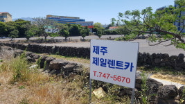 제주제일렌트카