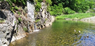 약먹은오닭도장골계곡