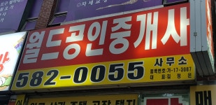 월드공인중개사사무소