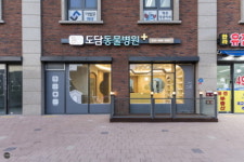 배곧도담동물병원