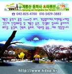 계룡산동학사스타펜션