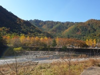 내평계곡캠핑장