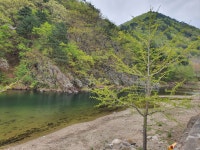 내평계곡캠핑장