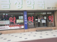 금성약국