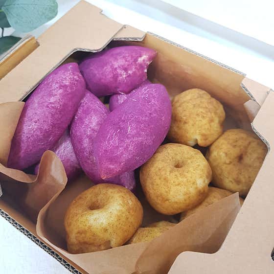 공주마미 사진