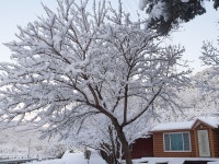 내평계곡캠핑장