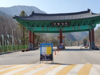 삼일여행사