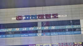 국제고려태권도