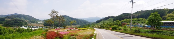 은풍골 송월농장