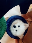 유정헤어샵