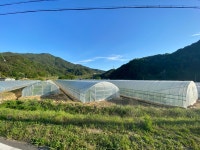 선학농장