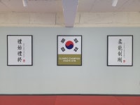 미스터샤크유도멀티짐