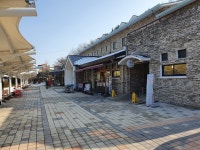 삼일여행사