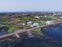 하도리일번지