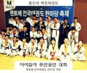 용인대백호태권도
