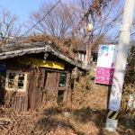 연정식당