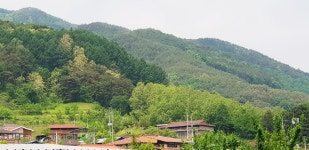 은풍골 송월농장