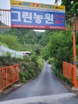 단양천동계곡캠핑장 그린농원