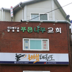 푸른나무교회