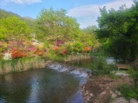 산골독채계곡펜션