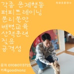 최광호훈련사 강아지방문훈련 애견훈련소