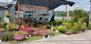 은송꽃농장