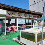 신지수산 눈꽃막회