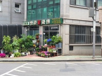 명륜꽃화원