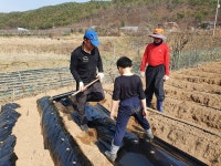 호야네 애플파파 농장