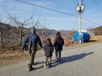 호야네 애플파파 농장