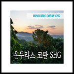 하오인터내셔널