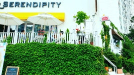세렌디피티