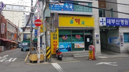 솔약국
