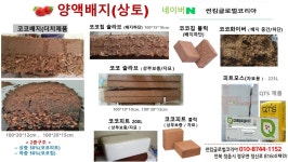 썬킴글로벌코리아