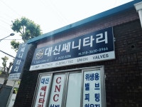 대신쎄니타리