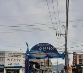 마산어시장 수산시장