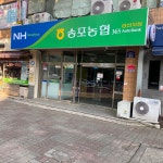 송포농협 강선지점