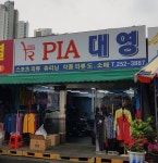 PIA대영