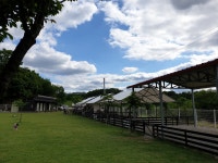 루파니애견캠핑장