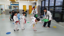 용인대박사태권도