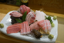 은참치