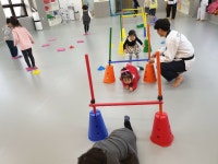 용인대박사태권도