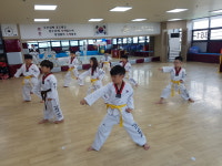 경희대삼성태권도