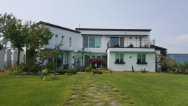 금자네시댁