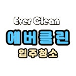 에버클린 입주청소