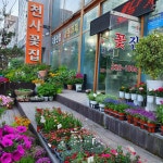 천사꽃집