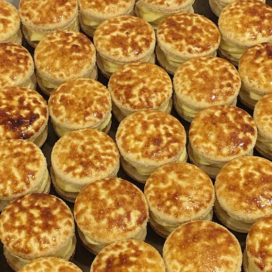 마시카롱 사진