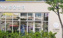 전주이노동물병원