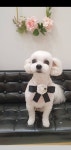 그루밍존