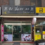 프리헤어아트